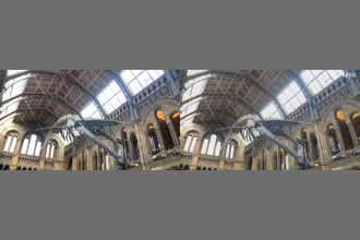 a thumdnail for published video. Blue whale