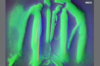 a thumdnail for published video. α