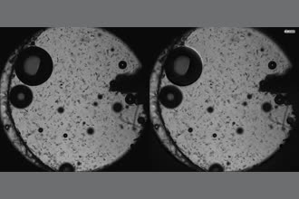 a thumdnail for published video. Testing