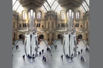 a thumdnail for published video. b