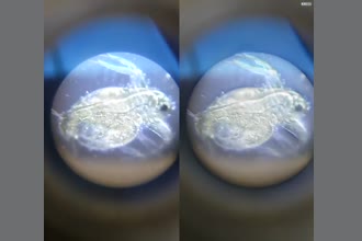 a thumdnail for published video. Motion enhanced