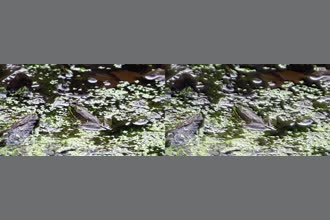 a thumdnail for published video. First try at this to see what it looks like