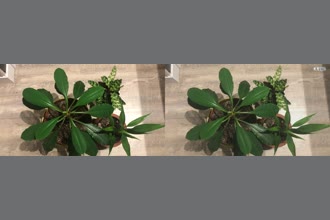 a thumdnail for published video. vibration