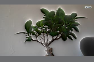 a thumdnail for published video. intnto uno 