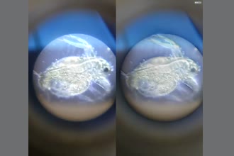 a thumdnail for published video. 2