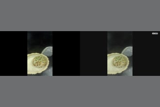 a thumdnail for published video. Frog Breathe
