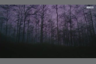 a thumdnail for published video. test