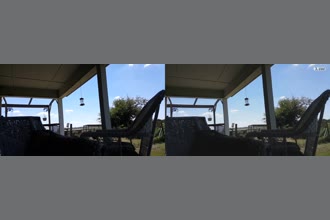 a thumdnail for published video. humming birds