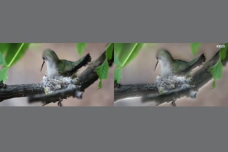 a thumdnail for published video. asdasd