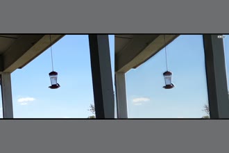 a thumdnail for published video. hummingbirds_2