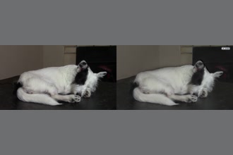 a thumdnail for published video. Two minutes of Betsy Ross at rest.