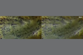 a thumdnail for published video. test