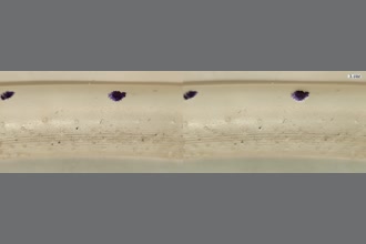 a thumdnail for published video. Water in tube