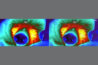 a thumdnail for published video. hr