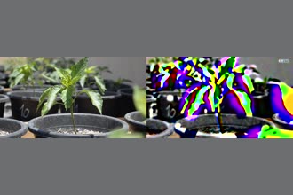 a thumdnail for published video. Color change on a sub-visible 