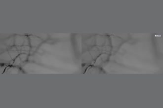 a thumdnail for published video. blood flow