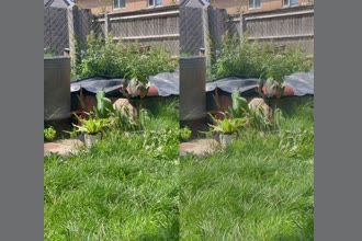 a thumdnail for published video. Grass and leaves swaying in the wind 