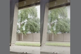 a thumdnail for published video. TEST TREE